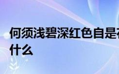 何须浅碧深红色自是花中第一流中的花指的是什么