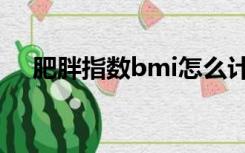 肥胖指数bmi怎么计算（bmi怎么计算）