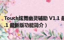 Touch炫舞幽灵辅助 V1.1 最新版（Touch炫舞幽灵辅助 V1.1 最新版功能简介）