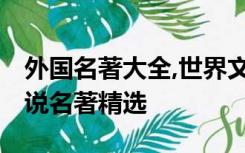 外国名著大全,世界文学名著在线阅读,外国小说名著精选