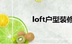 loft户型装修（loft户型）