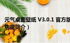 元气桌面壁纸 V3.0.1 官方版（元气桌面壁纸 V3.0.1 官方版功能简介）