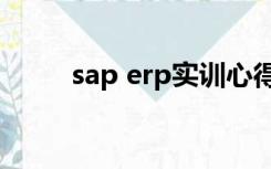 sap erp实训心得（erp实训心得）