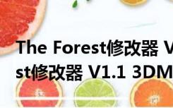 The Forest修改器 V1.1 3DM版（The Forest修改器 V1.1 3DM版功能简介）