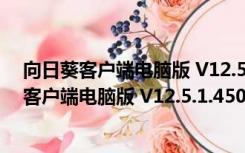 向日葵客户端电脑版 V12.5.1.45098 官方最新版（向日葵客户端电脑版 V12.5.1.45098 官方最新版功能简介）