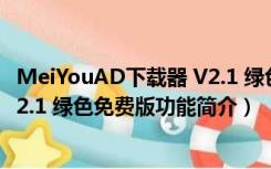 MeiYouAD下载器 V2.1 绿色免费版（MeiYouAD下载器 V2.1 绿色免费版功能简介）