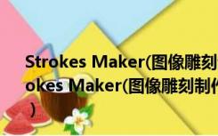 Strokes Maker(图像雕刻制作软件) V2.2 中文破解版（Strokes Maker(图像雕刻制作软件) V2.2 中文破解版功能简介）