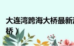 大连湾跨海大桥最新消息专题（大连湾跨海大桥）