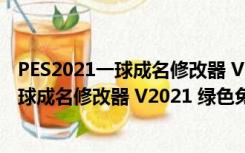 PES2021一球成名修改器 V2021 绿色免费版（PES2021一球成名修改器 V2021 绿色免费版功能简介）