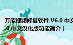 万能视频修复软件 V6.0 中文汉化版（万能视频修复软件 V6.0 中文汉化版功能简介）