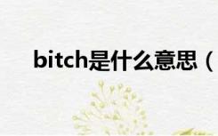 bitch是什么意思（beach是什么意思）