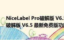 NiceLabel Pro破解版 V6.5 最新免费版（NiceLabel Pro破解版 V6.5 最新免费版功能简介）