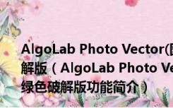 AlgoLab Photo Vector(图片矢量化工具)V1.98.88 绿色破解版（AlgoLab Photo Vector(图片矢量化工具)V1.98.88 绿色破解版功能简介）