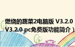 燃烧的蔬菜2电脑版 V3.2.0 pc免费版（燃烧的蔬菜2电脑版 V3.2.0 pc免费版功能简介）