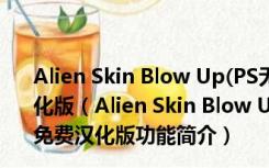 Alien Skin Blow Up(PS无损放大插件) V3.1.1.188 免费汉化版（Alien Skin Blow Up(PS无损放大插件) V3.1.1.188 免费汉化版功能简介）