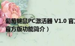 葡萄键鼠PC激活器 V1.0 官方版（葡萄键鼠PC激活器 V1.0 官方版功能简介）