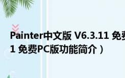 Painter中文版 V6.3.11 免费PC版（Painter中文版 V6.3.11 免费PC版功能简介）