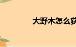 大野木怎么获得（大野木）