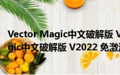 Vector Magic中文破解版 V2022 免激活码版（Vector Magic中文破解版 V2022 免激活码版功能简介）