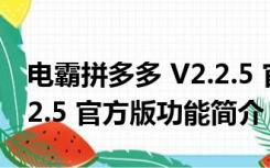 电霸拼多多 V2.2.5 官方版（电霸拼多多 V2.2.5 官方版功能简介）