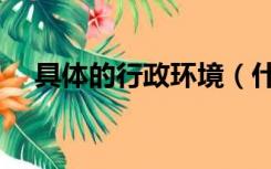 具体的行政环境（什么是具体行政环境）