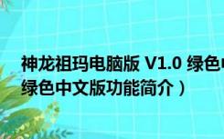 神龙祖玛电脑版 V1.0 绿色中文版（神龙祖玛电脑版 V1.0 绿色中文版功能简介）