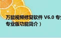 万能视频修复软件 V6.0 专业版（万能视频修复软件 V6.0 专业版功能简介）