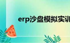 erp沙盘模拟实训心得体会3000字