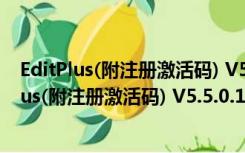 EditPlus(附注册激活码) V5.5.0.1764 汉化破解版（EditPlus(附注册激活码) V5.5.0.1764 汉化破解版功能简介）