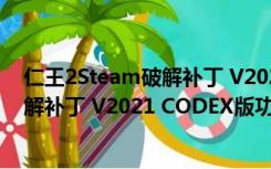 仁王2Steam破解补丁 V2021 CODEX版（仁王2Steam破解补丁 V2021 CODEX版功能简介）