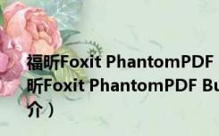 福昕Foxit PhantomPDF Business V10.0 中文破解版（福昕Foxit PhantomPDF Business V10.0 中文破解版功能简介）