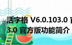 活字格 V6.0.103.0 官方版（活字格 V6.0.103.0 官方版功能简介）