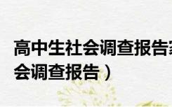 高中生社会调查报告家长调查感悟（高中生社会调查报告）