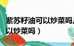 紫苏籽油可以炒菜吗几个月宝宝（紫苏籽油可以炒菜吗）