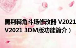 黑荆棘角斗场修改器 V2021 3DM版（黑荆棘角斗场修改器 V2021 3DM版功能简介）