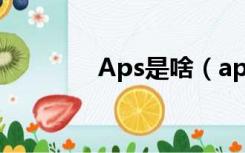 Aps是啥（aps系统是什么）