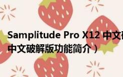 Samplitude Pro X12 中文破解版（Samplitude Pro X12 中文破解版功能简介）