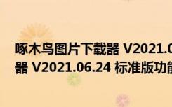 啄木鸟图片下载器 V2021.06.24 标准版（啄木鸟图片下载器 V2021.06.24 标准版功能简介）