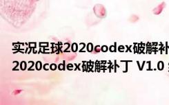 实况足球2020codex破解补丁 V1.0 绿色免费版（实况足球2020codex破解补丁 V1.0 绿色免费版功能简介）