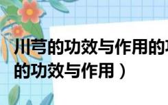 川芎的功效与作用的功能与主治与用量（川穹的功效与作用）