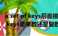 a set of keys后面接单数还是复数（a set of keys是单数还是复数）