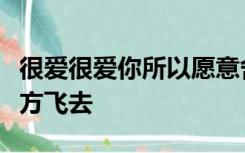 很爱很爱你所以愿意舍得让你往更多幸福的地方飞去