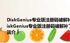 DiskGenius专业版注册码破解补丁 V5.4.3 32位/64位 绿色免费版（DiskGenius专业版注册码破解补丁 V5.4.3 32位/64位 绿色免费版功能简介）