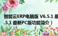 智能云ERP电脑版 V6.5.1 最新PC版（智能云ERP电脑版 V6.5.1 最新PC版功能简介）