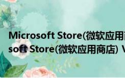 Microsoft Store(微软应用商店) V1.0 独立直装版（Microsoft Store(微软应用商店) V1.0 独立直装版功能简介）