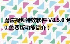 魔法视频特效软件 V8.5.0 免费版（魔法视频特效软件 V8.5.0 免费版功能简介）