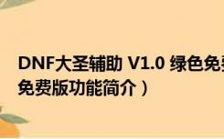 DNF大圣辅助 V1.0 绿色免费版（DNF大圣辅助 V1.0 绿色免费版功能简介）