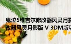 鬼泣5维吉尔修改器风灵月影版 V 3DM版（鬼泣5维吉尔修改器风灵月影版 V 3DM版功能简介）