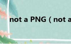 not a PNG（not a png file怎么解决）