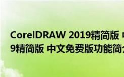 CorelDRAW 2019精简版 中文免费版（CorelDRAW 2019精简版 中文免费版功能简介）